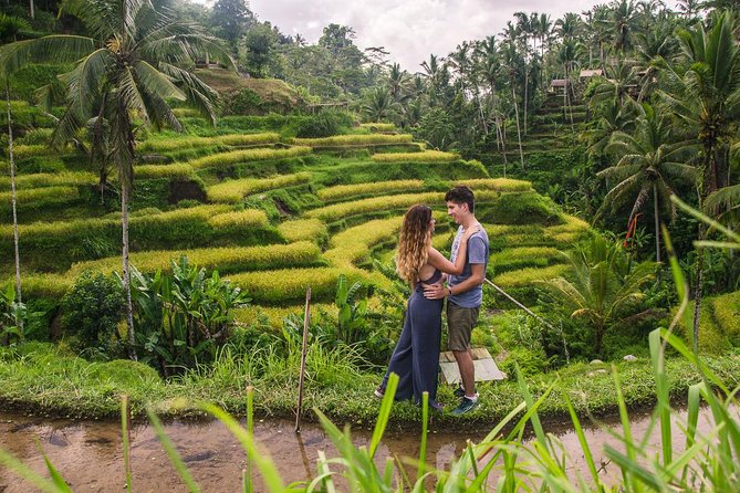 Ubud City Tour II: Monkey Forest, Palace, Art Market, and Rice Terrace - A packed route through Ubud’s best-known sights