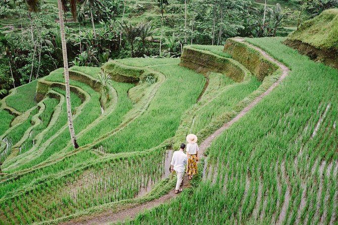 Ubud City Tour II: Monkey Forest, Palace, Art Market, and Rice Terrace - Taking in Tegalalang Rice Terrace