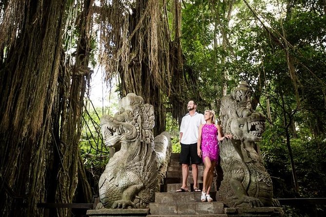 Ubud City Tour II: Monkey Forest, Palace, Art Market, and Rice Terrace - What the private car and driver add