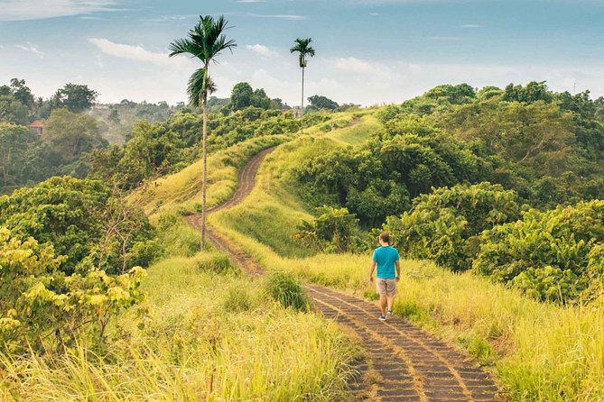 Ubud Countryside Tour: Campuhan Ridge Walk and Rice Terrace - Tegallalang rice terraces and the extra donation