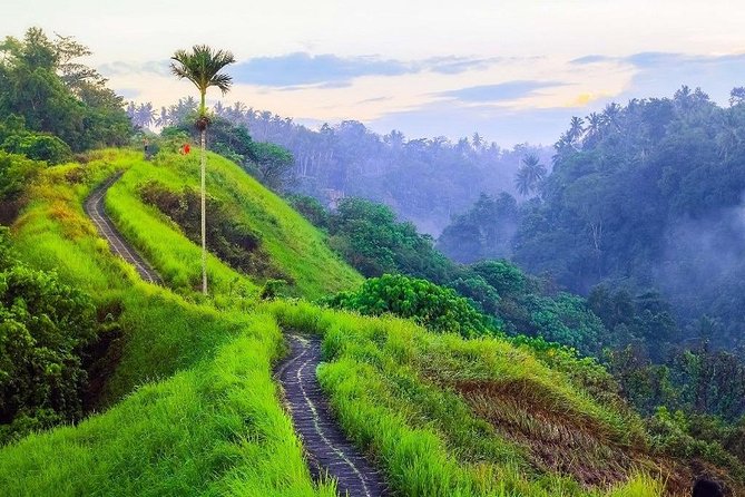 Ubud Countryside Tour: Campuhan Ridge Walk and Rice Terrace - Tirta Empul, Bali’s sacred spring temple