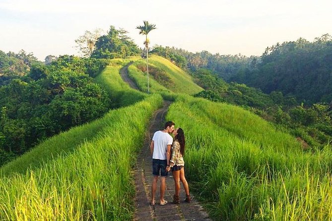 Ubud Countryside Tour: Campuhan Ridge Walk and Rice Terrace - The coffee plantation visit