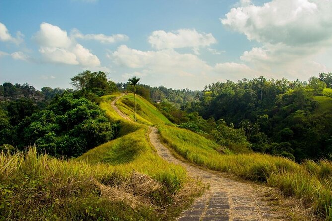 Ubud Countryside Tour: Campuhan Ridge Walk and Rice Terrace - Starting with a traditional Balinese house