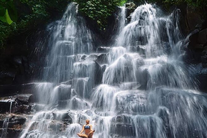 Ubud Customized Full Day Tour - Visit Most favorite In Ubud - Why the private format works well in Ubud