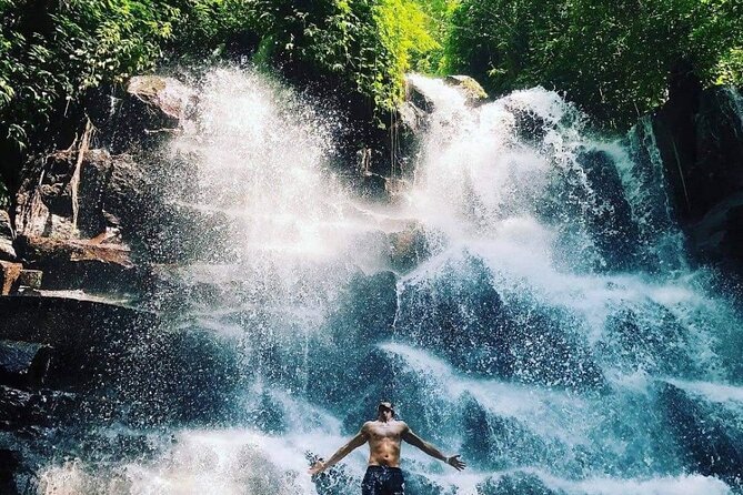 Ubud Customized Full Day Tour - Visit Most favorite In Ubud - What the drivers add to the day