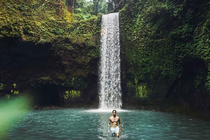 Ubud Customized Full Day Tour - Visit Most favorite In Ubud - Timing, lunch, and what the $22.50 includes