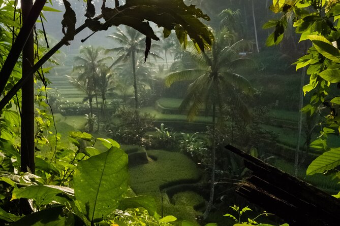 Ubud Day Tour - Top Things to do in Ubud + Local Ubud Guide - Tirta Empul and Bali’s holy spring tradition