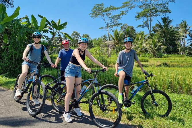 Ubud: Downhill Cycling with Volcano, Rice Terraces and Meal - Two wheels through farms, rice fields, and village lanes