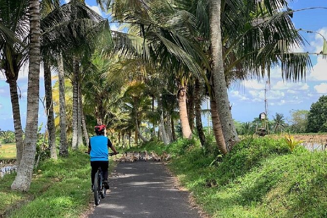Ubud: Downhill Cycling with Volcano, Rice Terraces and Meal - The coffee and herb plantation question