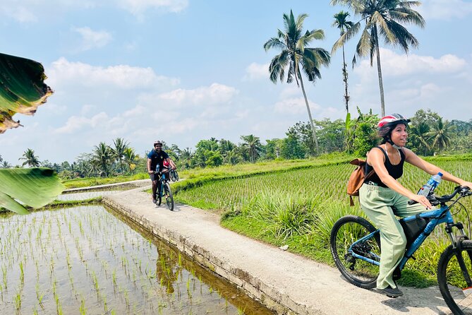 Ubud eBikes Tour to Tegallalang Rice Terrace - Why an e-bike makes sense around Ubud