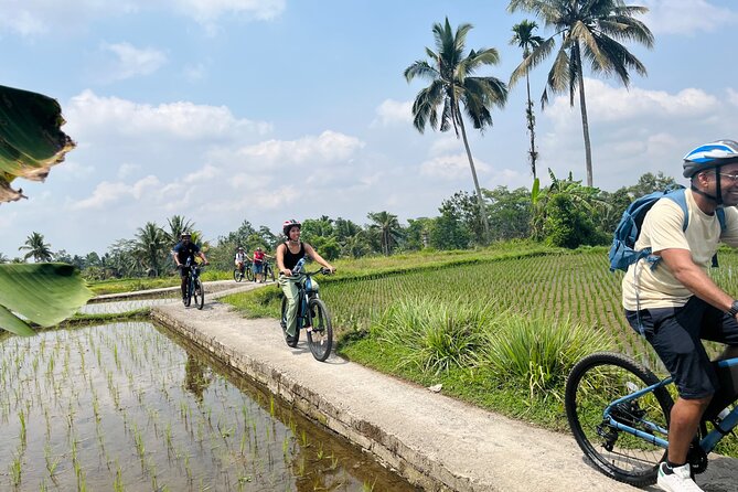 Ubud eBikes Tour to Tegallalang Rice Terrace - Entering a traditional Balinese compound