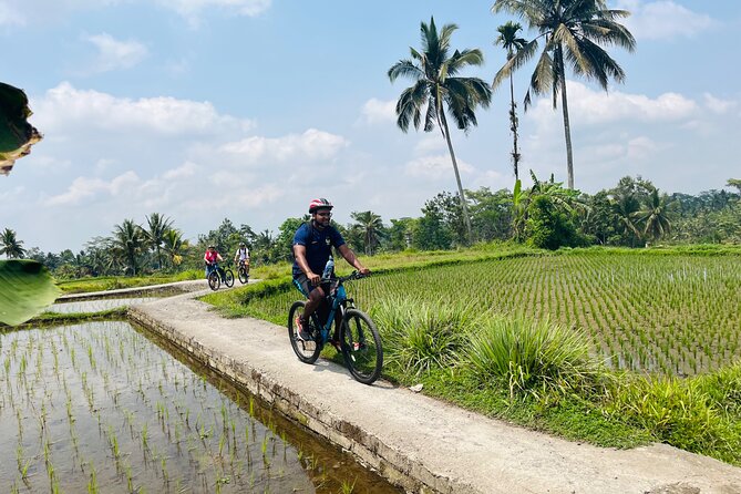 Ubud eBikes Tour to Tegallalang Rice Terrace - Coffee, tea, and optional extras