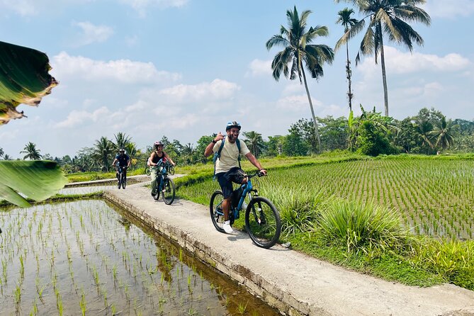 Ubud eBikes Tour to Tegallalang Rice Terrace - Guide style and the personal touch