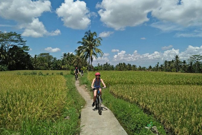 Ubud Eco Culture Cycling Exploration - Key points to know before booking