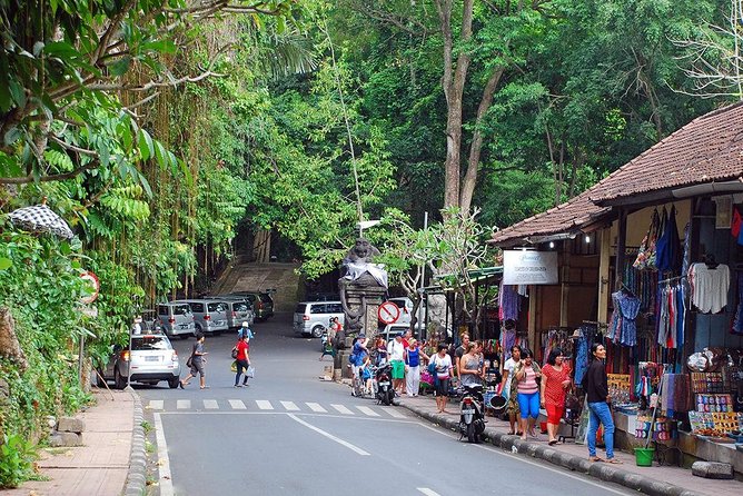 Ubud Eco Culture Cycling Exploration - The Monkey Forest area and photo stops