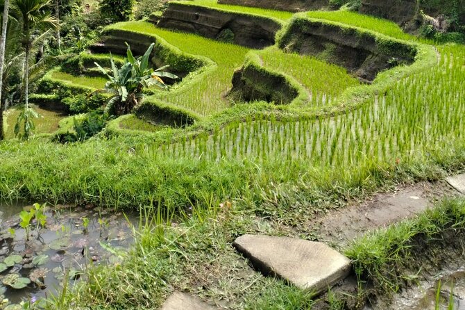 Ubud Explorer Private Day Tour - How the timing feels over 10 hours and 15 minutes