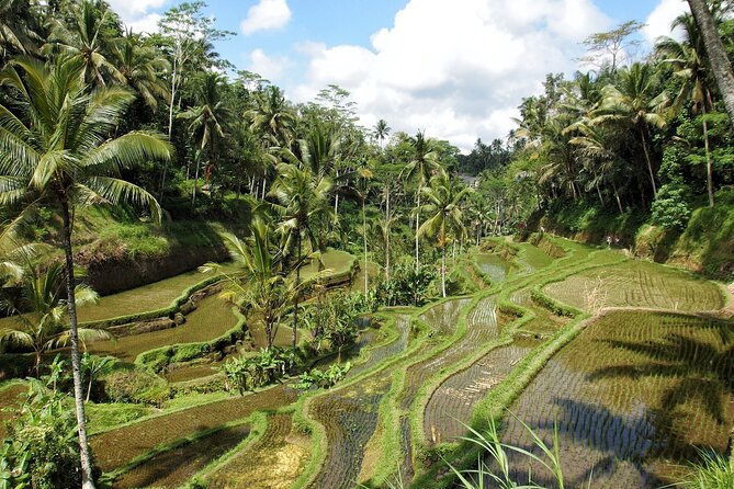 Ubud Explorer Private Day Tour - The guides and the value of personal help
