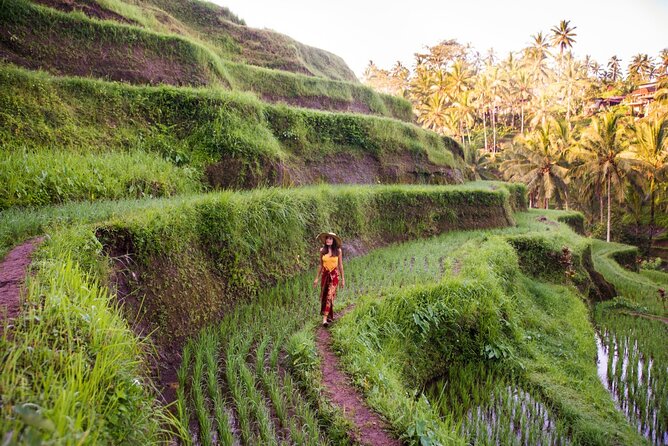 Ubud Full Day ATV Adventure with Rice Terrace and Temple Ritual - Is $85 a fair price?