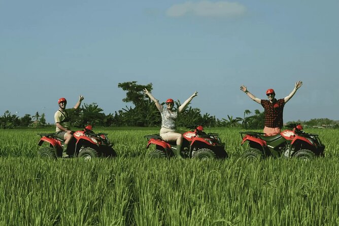 Ubud Full Day ATV Adventure with Rice Terrace and Temple Ritual - Final call: book it for variety, not for lingering
