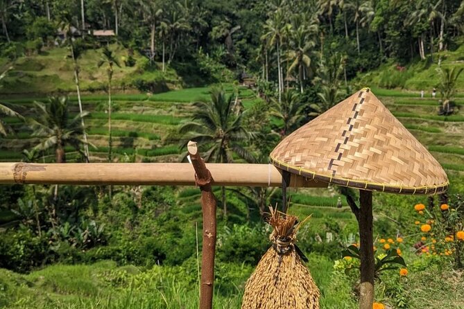Ubud Half Day Zipline and Jungle Swing - Seeing Ubud from a 13-meter swing