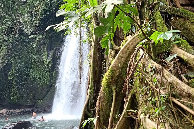 Ubud Half Day Zipline and Jungle Swing - Coffee, tea, and a calmer finish