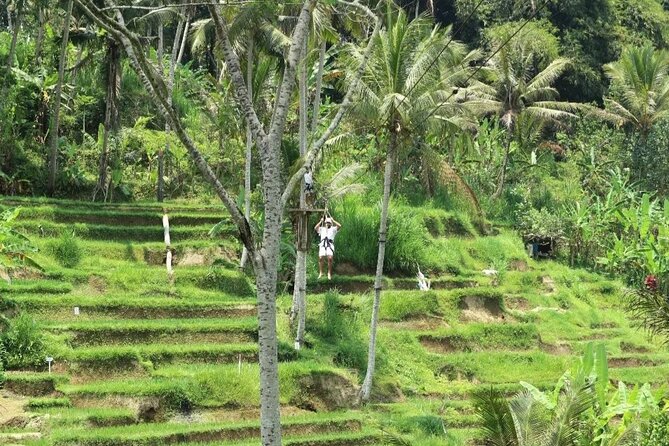 Ubud Half Day Zipline and Jungle Swing - Who should book this Ubud adventure
