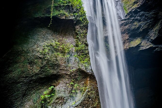 Ubud Hidden Gems Waterfalls and Private tour - Private car service and the value of $50