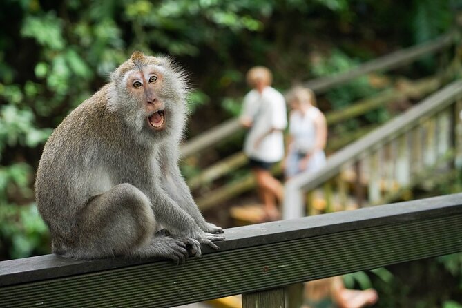 Ubud Highlight: Best of Ubud Private Day Tour with Local Guide - Oka Agriculture Bali: coffee, spices, and the luwak tasting