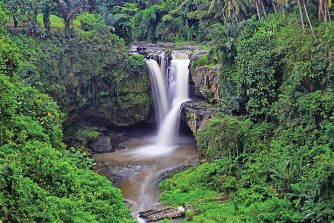Ubud Highlights Rice Terraces, Temple, Waterfall & Monkeys forest - Tirta Empul and the meaning of Melukat