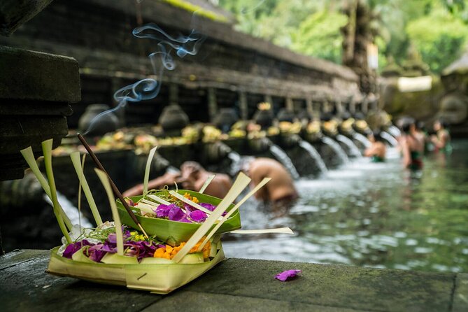 Ubud Highlights Rice Terraces, Temple, Waterfall & Monkeys forest - Who will enjoy this tour most