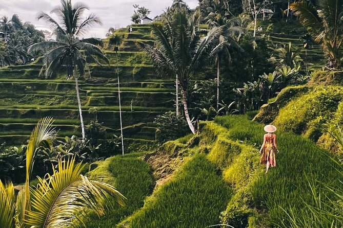 Ubud Higlights Full Day Tour - Private Tour Experience - Private transport and the value of $24.30