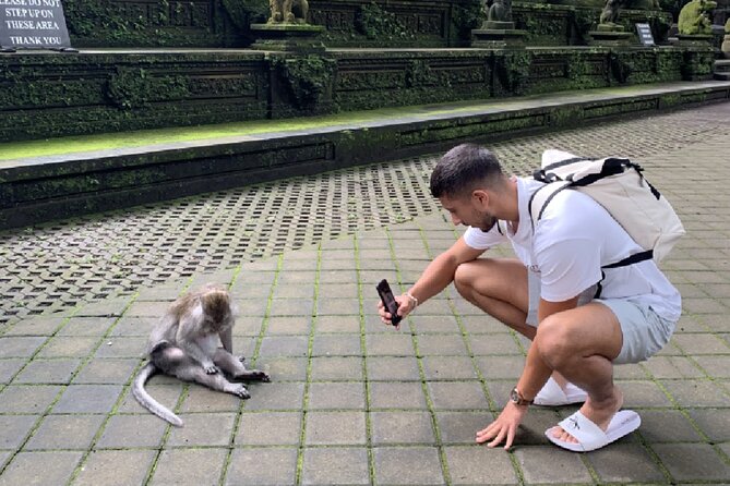 Ubud Higlights Full Day Tour - Private Tour Experience - Pace, comfort, and who will enjoy it most