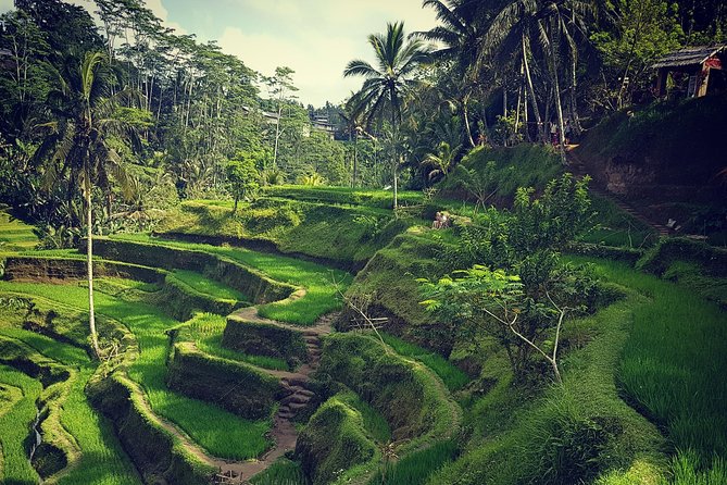 Ubud iconic waterfall and temple tours - What this $47 Ubud tour really gives you