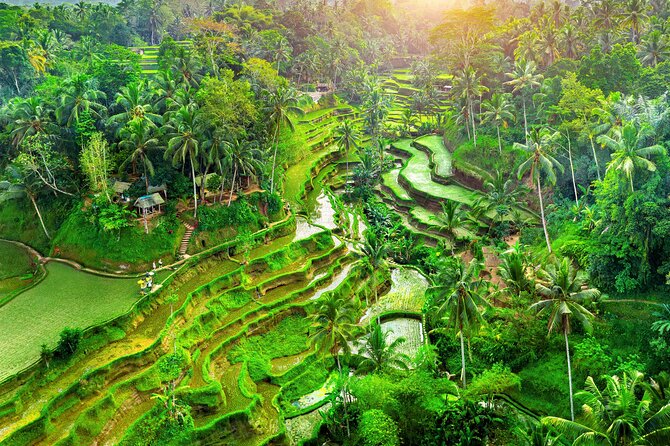 Ubud Jungle Adventure: Tirta Empul & Bali Swing - Key points to know before booking