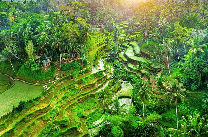 Ubud Jungle Adventure: Tirta Empul & Bali Swing - Tirta Empul and the meaning of holy water