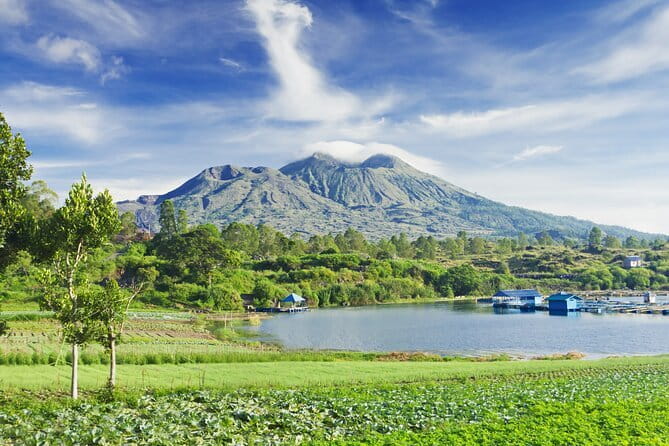 Ubud Jungle Cart Adventure + Volcano view Tour. - Coffee, tea, and the stop at OKA Agriculture Bali