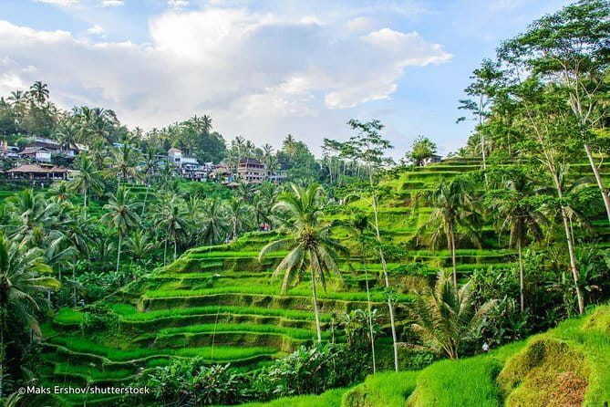 Ubud Jungle Cart Adventure + Volcano view Tour. - What the private transport adds to the price