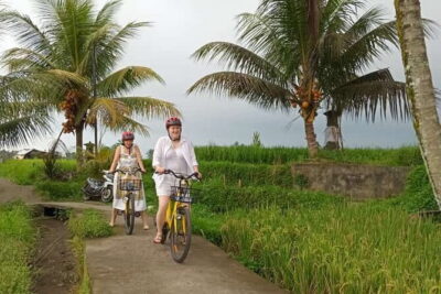 Kintamani Downhill Cycling Tour with Lunch