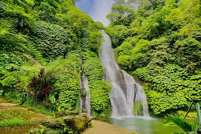 Ubud : Kintamani Downhill Cycling Tour with Lunch - What $29.90 buys you