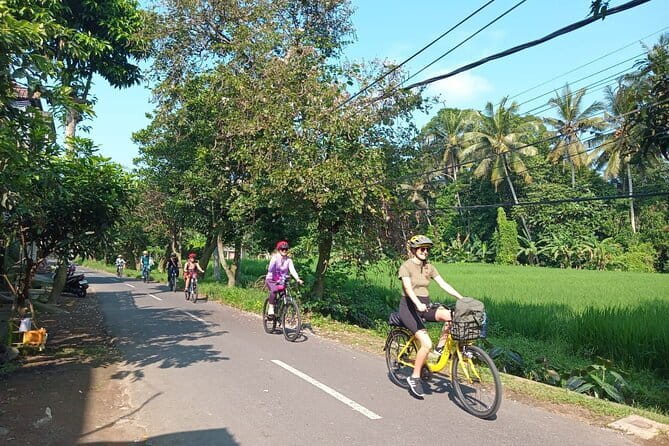 Ubud : Kintamani Downhill Cycling Tour with Lunch - Practical details that shape the day