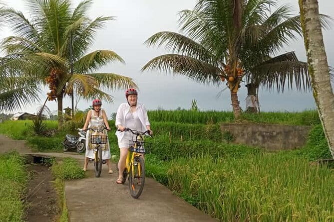 Ubud : Kintamani Downhill Cycling Tour with Lunch - Riding through village roads and rice fields
