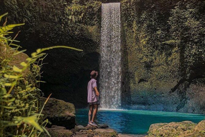 Ubud Monkey Forest, Holy Water Temple & Waterfalls Tours - 9 a.m. at Ubud Monkey Forest