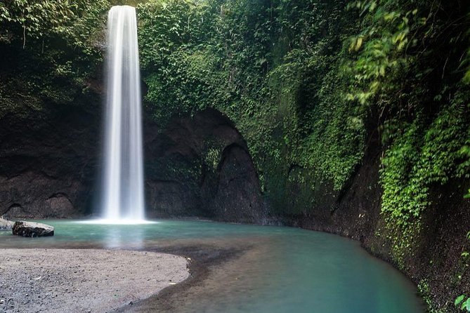 Ubud Monkey Forest, Holy Water Temple & Waterfalls Tours - Lunch at Waroeng D’Yoni
