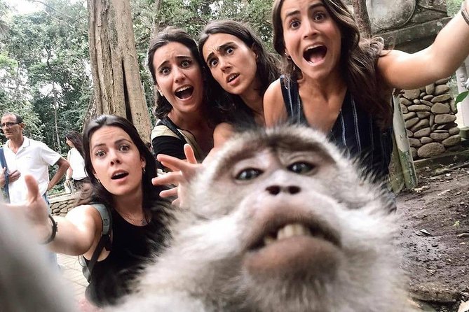Ubud Monkey Forest, Holy Water Temple & Waterfalls Tours - What the private vehicle changes