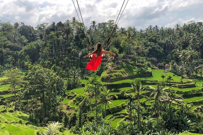 Ubud: Monkey Forest, Jungle Swing, Rice Terrace, and Water Temple - Sacred Monkey Forest: shade, animals, and a little caution