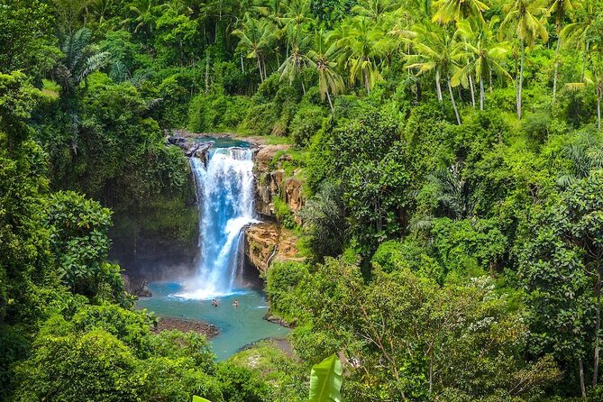 Ubud: Monkey Forest, Jungle Swing, Rice Terrace, and Water Temple - Tirta Empul: the cultural heart of the route