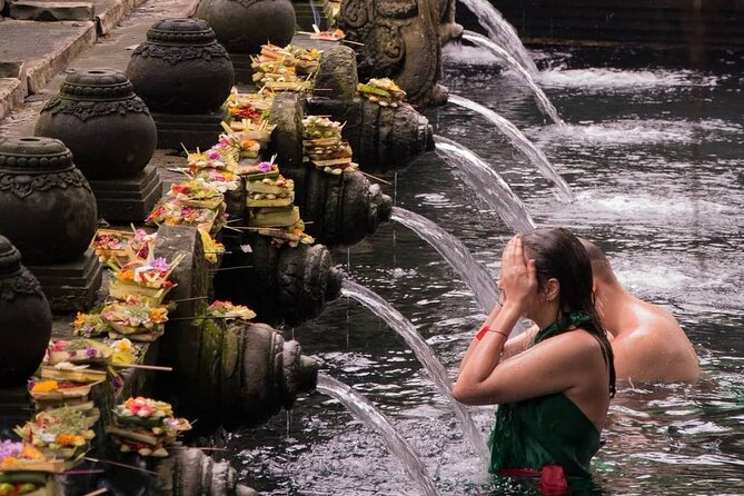 Ubud Monkey Forest, Rice Terrace & Tirta Empul Temple Tour - One full day through Ubud’s most famous sights