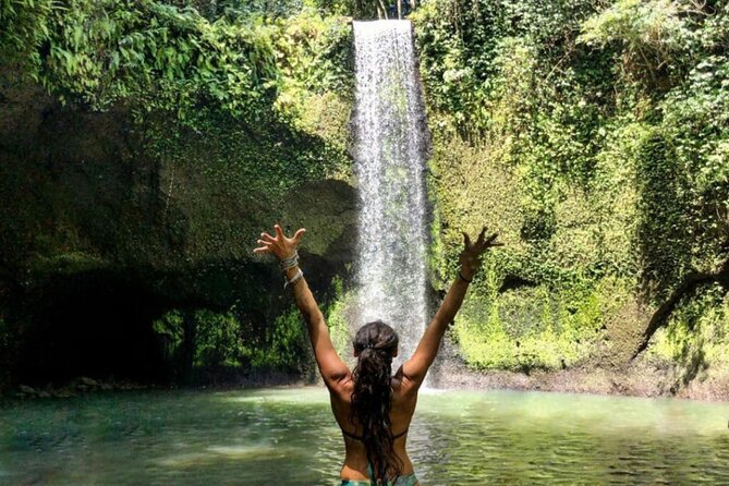 Ubud Monkey Forest, Rice Terrace & Tirta Empul Temple Tour - The optional Ubud Jungle Swing