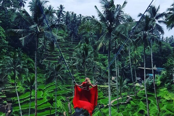 Ubud : Monkey Forest, Rice Terrace, Waterfall, Swing - What this Ubud day tour really covers
