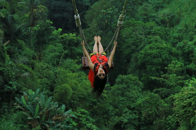 Ubud: Monkey Forest, Rice Terraces and Jungle Swing Tour - Tegalalang Rice Terrace and the working countryside